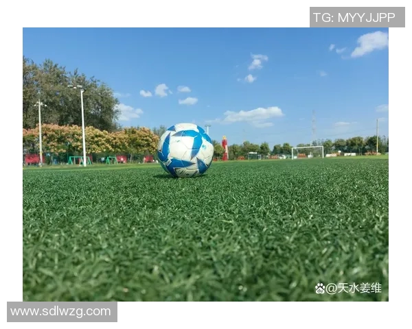 长得像地球的足球明星们他们的魅力与球场风采交织成的传奇故事