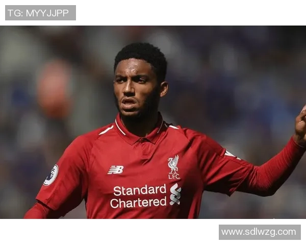 全球足球明星颜值巅峰阵容图集展现足球场上的魅力与风采