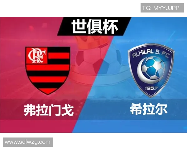 弗拉门戈与希拉尔比赛结果分析及未来走势预测