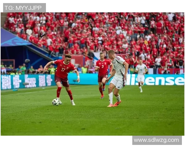 2016年欧洲杯精彩赛果回顾与分析全赛程战绩汇总