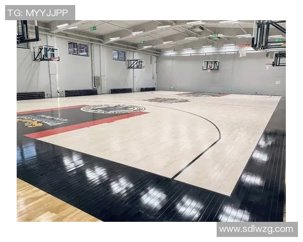 体育馆运动木地板十大品牌推荐及选购指南助您打造完美运动环境