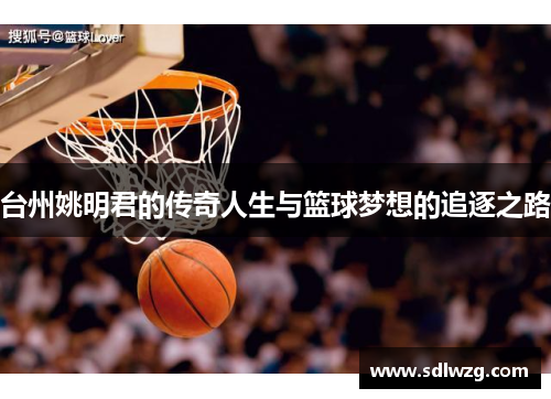台州姚明君的传奇人生与篮球梦想的追逐之路