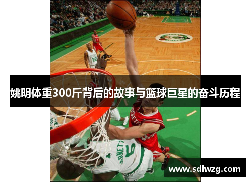 姚明体重300斤背后的故事与篮球巨星的奋斗历程
